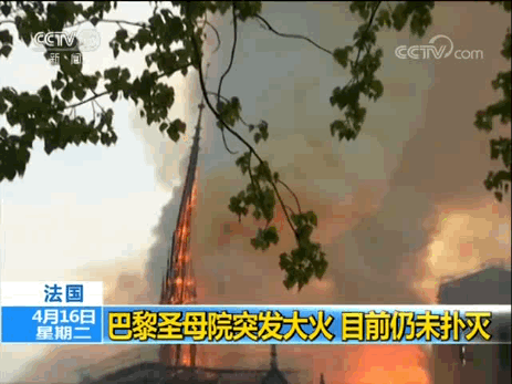 1555463361113694.gif 圖片一.gif